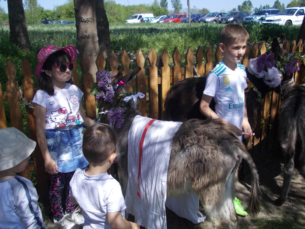 Магарећи паприкаш прави је деликатес